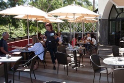 Pet friendly restaurant in Carlsbad, California, dogs allowed restaurant in carlsbad Beach Plum Kitchen