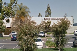 pet friendly veterinarians in carlsbad california, vets in carlsbad California Veterinary Specialists