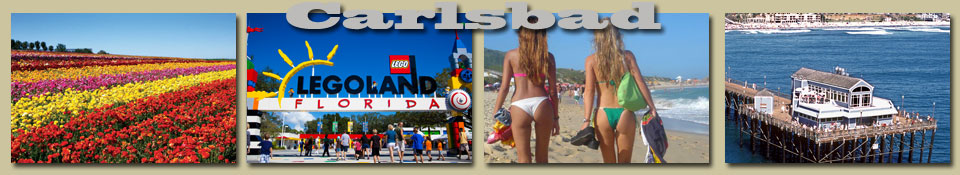 fun in carlsbad pet friendly