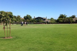 Pet friendly dog park in Taos, New Mexico: Wheeler Peak Wilderness Area Trail