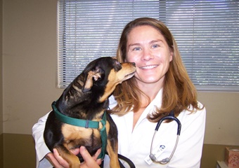 pet friendly veterinarians in carlsbad california, vets in carlsbad