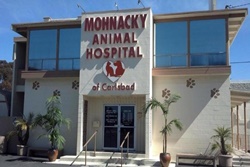 pet friendly veterinarians in carlsbad california, vets in carlsbad Mohnacky Animal Hospital of Carlsbad