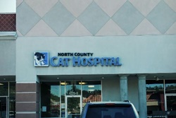 pet friendly veterinarians in carlsbad california, vets in carlsbad North County Cat Hospital