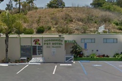 Pet day care in Carlsbad, California, Oceanside Pet Hotel