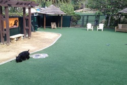 Pet friendly dog park in Taos, New Mexico:  Wild Rivers Recreation Area