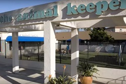 Pet day care near Carlsbad, california doggie day camp