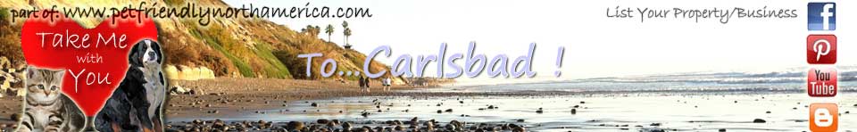 dog friendly vacation rentals in carlsbad california